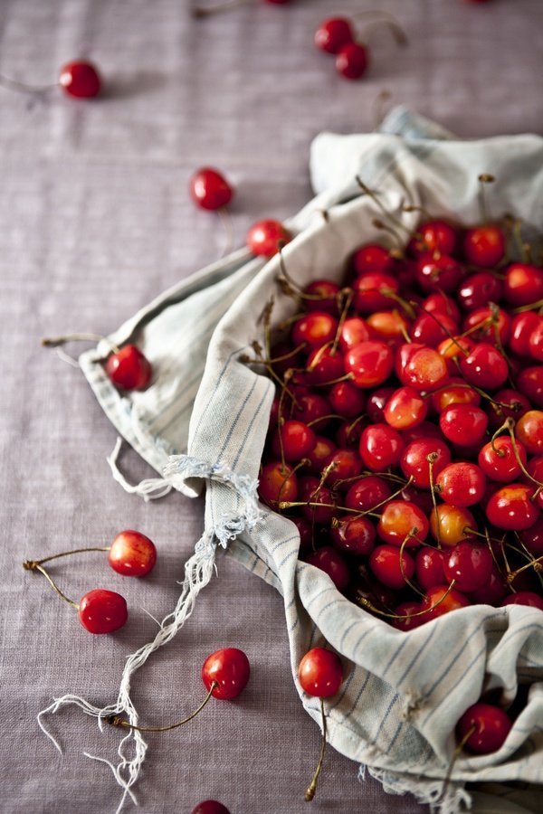Branch plant fruit berry sweet bowl 2592 pxhere.com